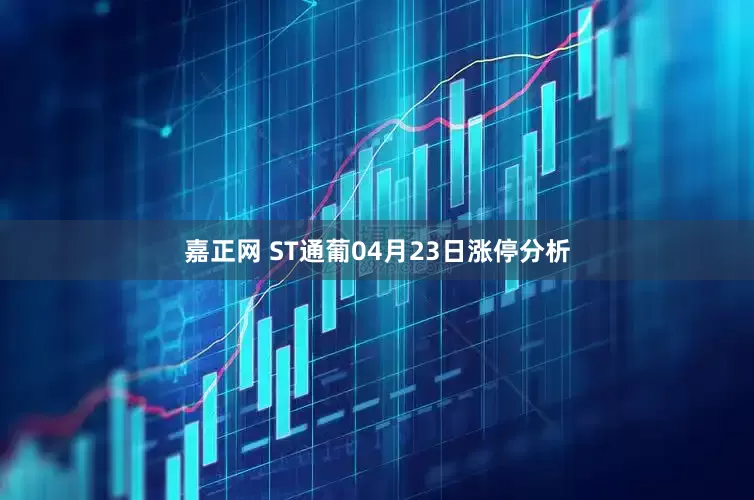 嘉正网 ST通葡04月23日涨停分析